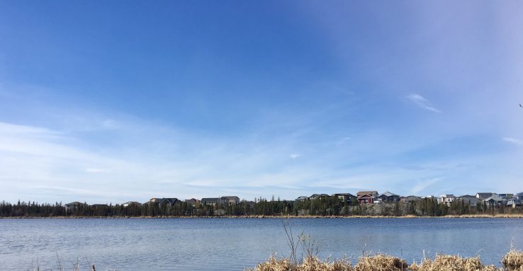 Niven Lake in foreground with bright blue sky overhead, across the lake rows of houses and trees are seen