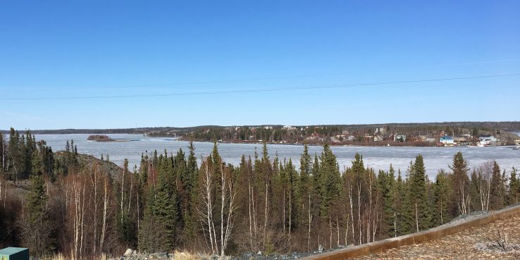 Skyline with coniferous trees overlooking a lake in Yukon NWT