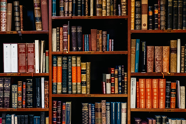 Bookshelf with books