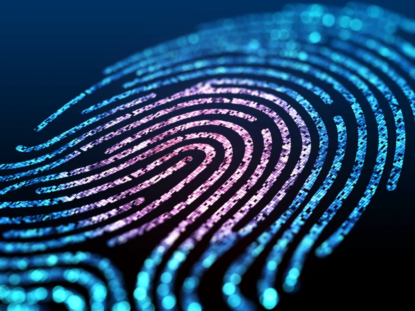 Digital fingerprint